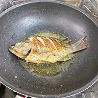超鲜的罗非鱼焖豆腐的做法图解4