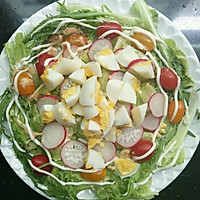 五月不减肥六月徒伤悲の杂烩沙拉的做法图解3