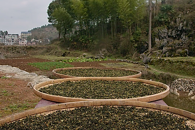 湖南版梅干菜做法，蒸扣肉吃太香了