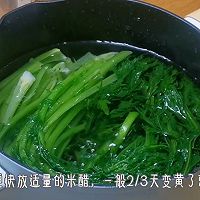 #i上冬日 吃在e起#雪里红酸菜的做法图解5
