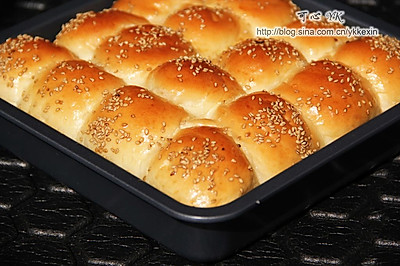 炼奶蜂蜜小面包（中种）