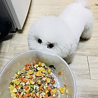 狗狗食堂_1的做法图解10