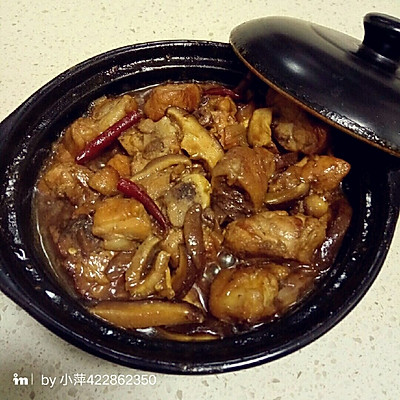 黄焖鸡肉（简单版本）