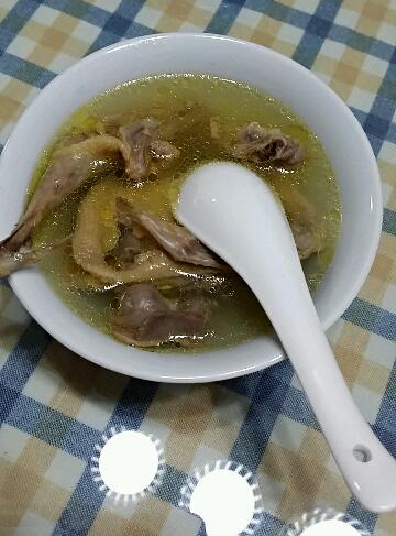 鸽子汤