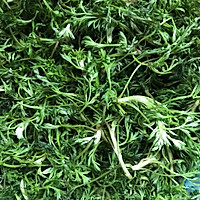 蒸白蒿的做法图解1
