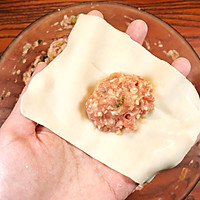 鲜肉马蹄馄饨的做法图解5