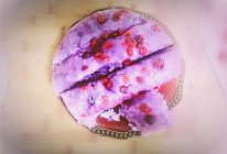 紫薯发糕#美的女王节#的做法