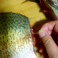 秘制麻辣鱼的做法图解2