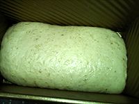 燕麦汤种面包的做法图解16