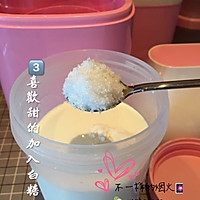 果语手工酸奶的做法图解3