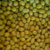 黄豆咸菜的做法图解1