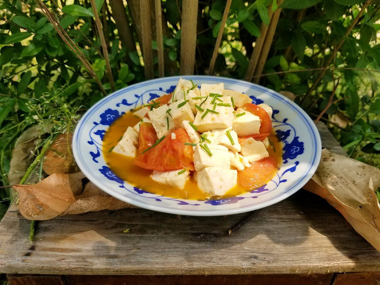 番茄烩豆腐的做法