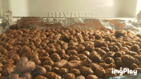 烤山药豆的做法图解7