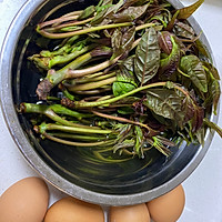 香椿炒鸡蛋（春天里的菜，时令名菜）的做法图解1