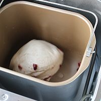 蔓越莓全麦软欧的做法图解5