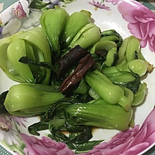 桂皮小油菜