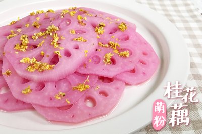 《宝餐一顿》藕也有颗公主