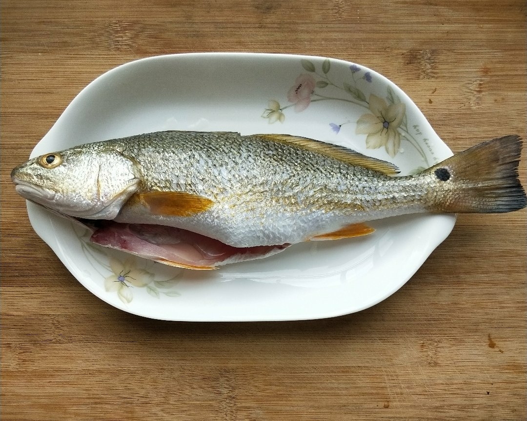 美国红鱼“走红”，10年被吃到濒危，在中国却成入侵物种？_养殖