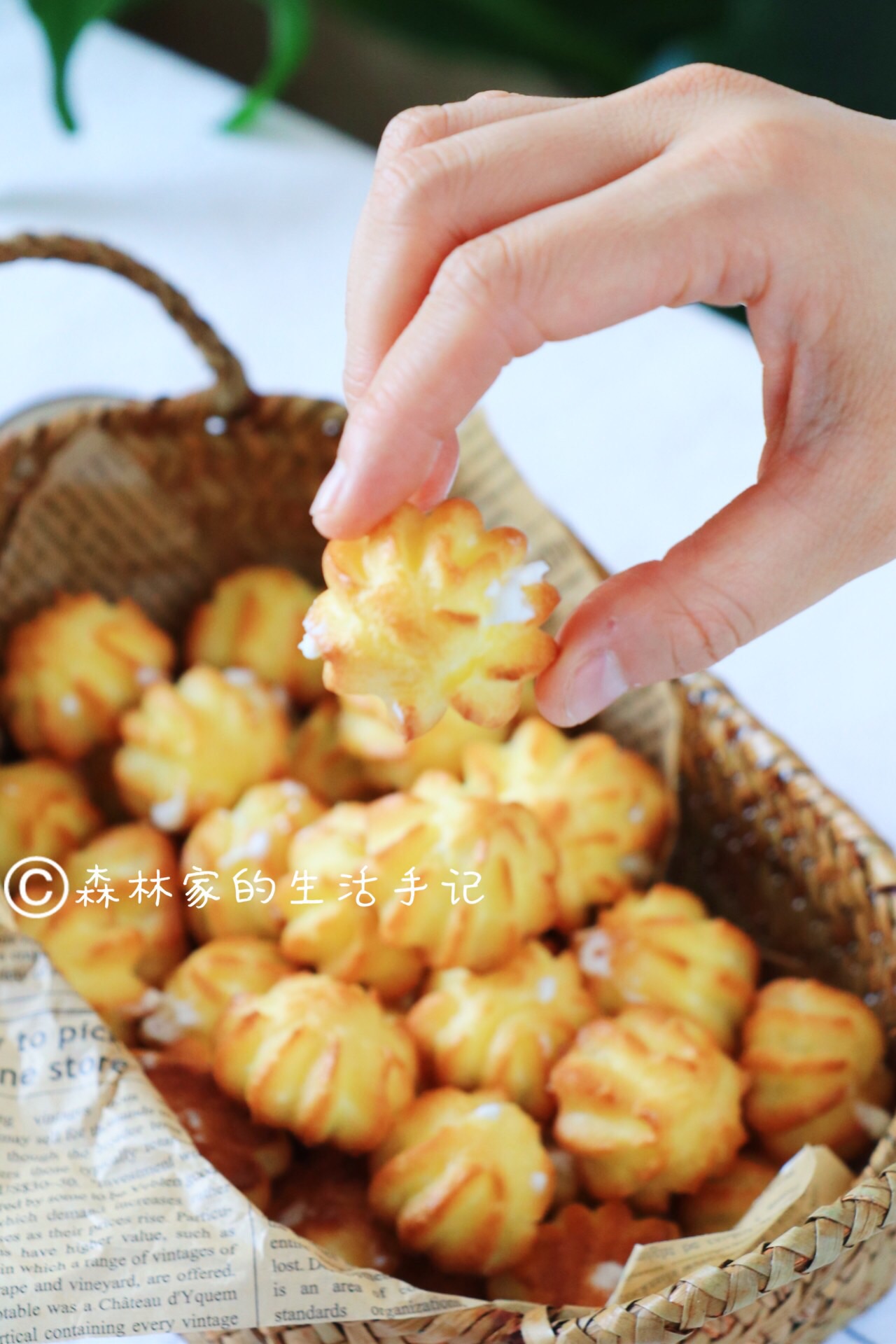 Zero failure popsicle [cream puff] delicious to popsicle ‼️