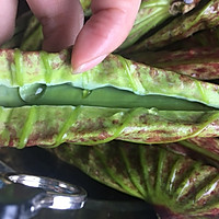 小荷才露尖尖角的做法图解2
