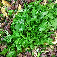 卤牛肉炒饭的做法图解15