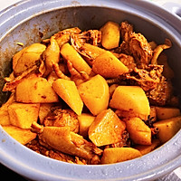 红烧鸡肉炖土豆的做法图解7