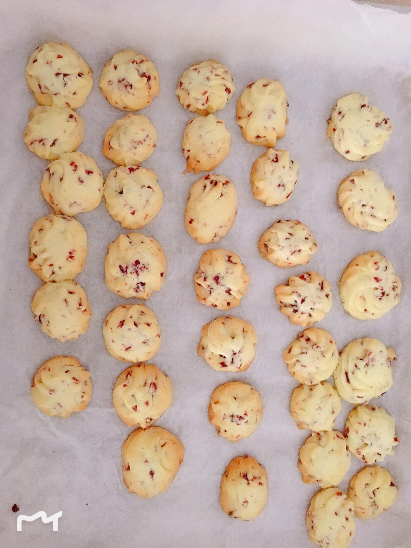 Cranberry cookie