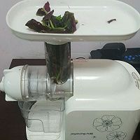 彩色三鲜饺子的做法图解9