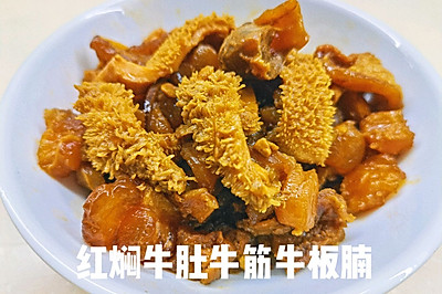 红焖牛肚牛筋牛板腩