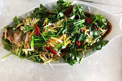 清蒸鲈鱼