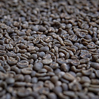 某星克的咖啡从此与你无缘#在家烘焙黄金曼特宁咖啡豆#的做法图解2