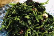 #米饭最强CP#春日来信~炝拌灰灰菜的做法