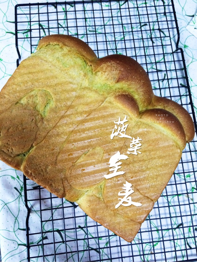 【女王厨房】菠菜奶香全麦吐司（中种冷藏法）的做法图解10