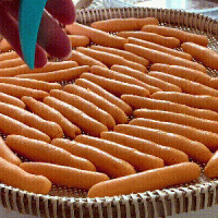 #奈特兰草饲营养美味#⭐炸红薯条⭐的做法图解7