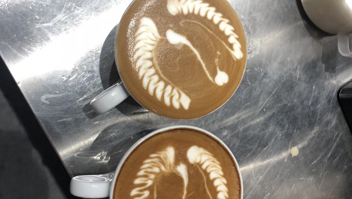 咖啡拉花之天鹅