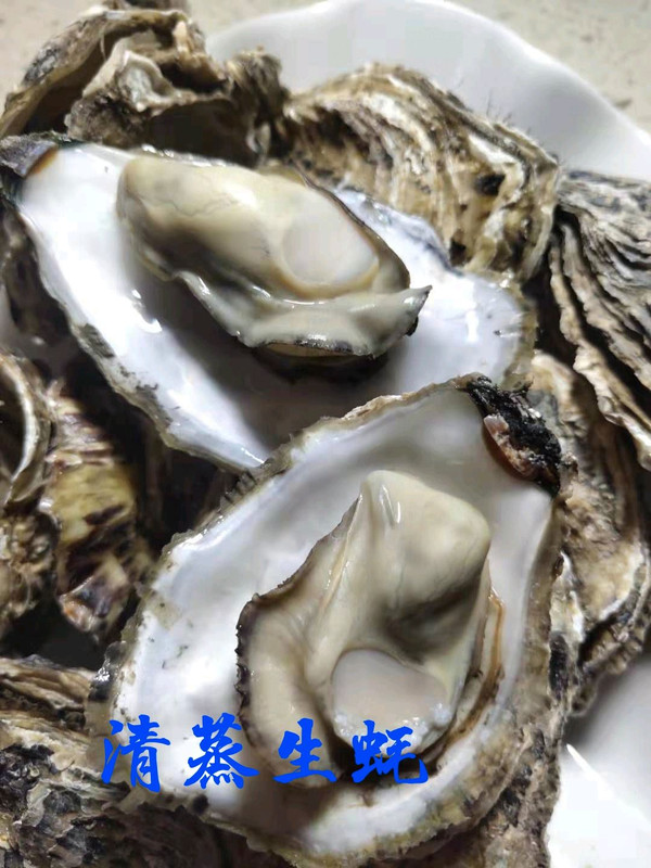 清蒸生蚝