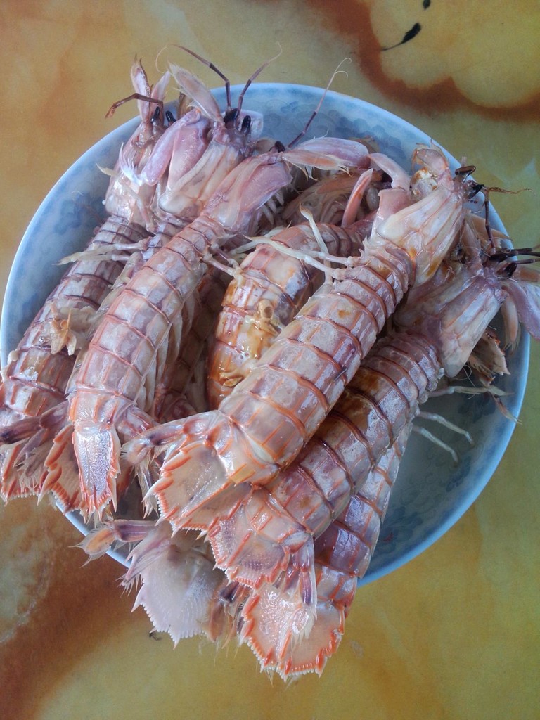 Shrimp crawling without oil