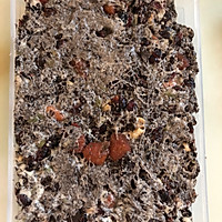 奥利奥雪花酥的做法图解6