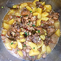 土豆烧鸡块的做法图解15
