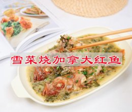 #李锦记X豆果 夏日轻食美味榜#雪菜烧加拿大红鱼的做法
