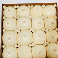 #安佳儿童创意料理#肉松芝士小熊挤挤包的做法图解16