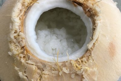 椰子米饭