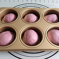 紫薯椰蓉小餐包的做法图解7