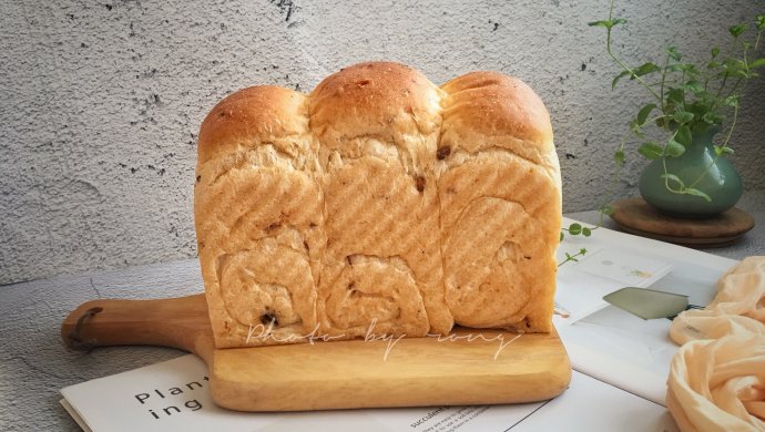松茸杏鲍菇牛肉酱吐司