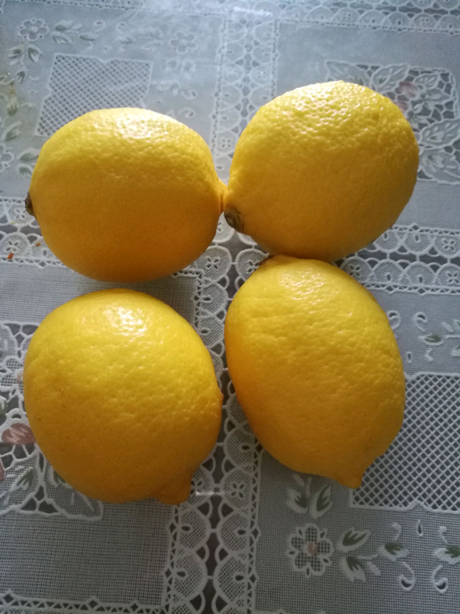 黄冰糖炖柠檬怎么做_黄冰糖炖柠檬的做法_肥妈向前冲_豆果美食