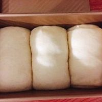 #精品菜谱挑战赛#中种北海道吐司的做法图解21