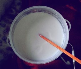 自制酸奶的做法