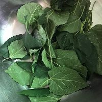 猪肺桑叶汤的做法图解5