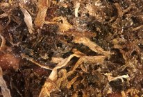 江南梅干菜捂肉的做法