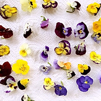 三色堇鲜花慕斯的做法图解12